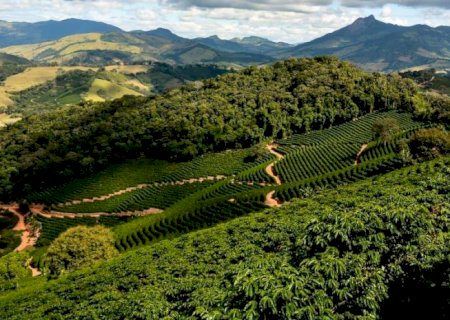 ‘Produtor é guardião do meio ambiente e precisamos extrair valor disso’