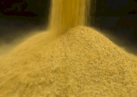 China abre mercado para farelo de soja e outros produtos do Brasil