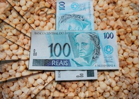 Soja brasileira da safra 21/22 está 76,7% comercializada