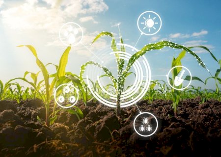 Ministério da Agricultura lança programa Agro Hub Brasil