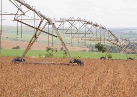 Governo envia PL que abre crédito suplementar de R$ 2,5 mi para a Agricultura