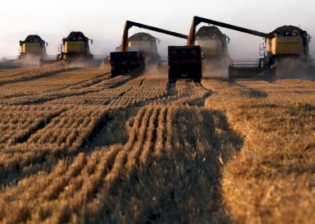 Brasil será autossuficiente em trigo em menos de uma década