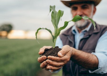 Programa de Seguro Rural apresenta novidades no Plano Safra