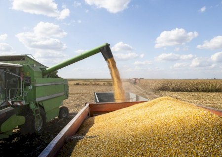Produção de grãos é estimada em 272,5 milhões de toneladas com clima favorável para as culturas de 2ª safra
