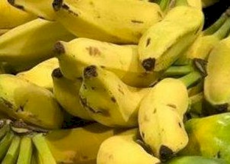 Veja a lista dos produtos do agro que mais caíram e subiram de preço
