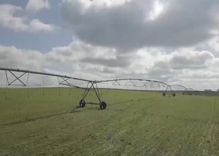 Milho irrigado: produtor se prepara para safra mais cara da história