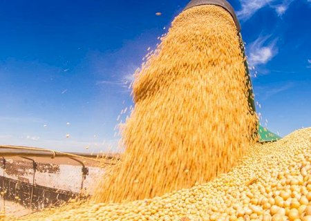 Processamento de soja cresce com exportações de óleo e farelo em alta