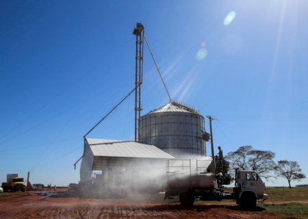 Milho: produtores de MT estocam grãos à espera de melhora nos preços