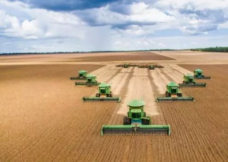 Safra de grãos pode chegar a 308 milhões de toneladas
