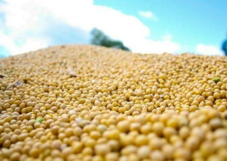 Com agro e industrialização, MS tem 2ª maior projeção de crescimento do País