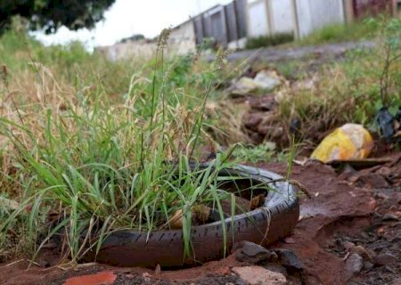 Número de mortes por dengue neste ano sobe para 19 no Estado
