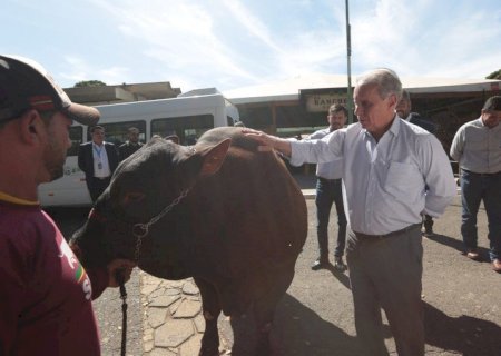 Brasil é importante para garantir segurança alimentar, diz ministro em Goiás