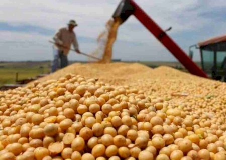 Soja, celulose e carne bovina são os produtos de MS mais exportados até julho