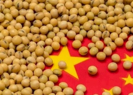 Importações chinesas de soja caem 25% em agosto ante 2021