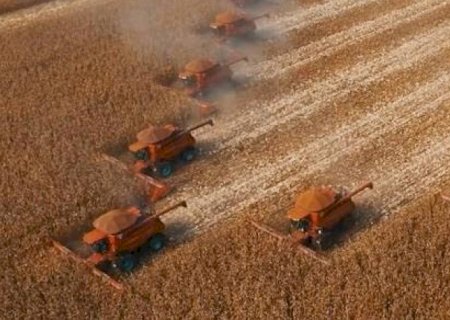 Produção de grãos é recorde, mas inflação dos alimentos continua