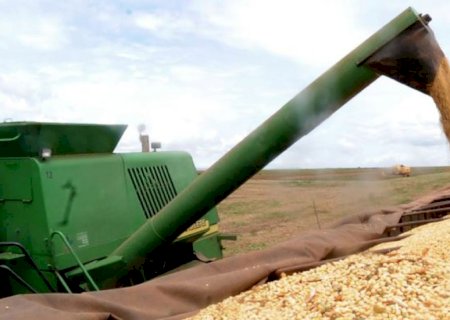 Conab inicia coleta de dados para o 1º Levantamento da Safra de Grãos 2022/23