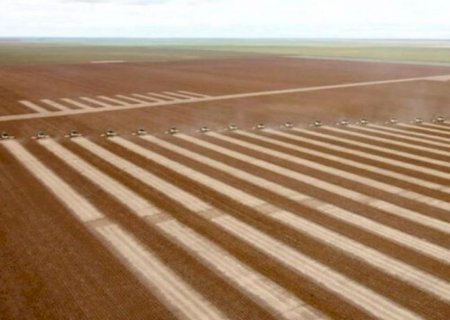 Brasil já tem soja plantada no Paraná e em áreas irrigadas em MT, MS e SP