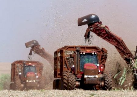 Cana: Moagem acumulada no Centro-Sul cai 7,07% ante safra anterior