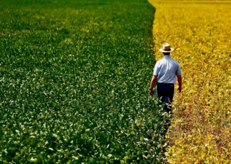 7 de cada 10 brasileiros veem o agro como algo positivo, diz pesquisa