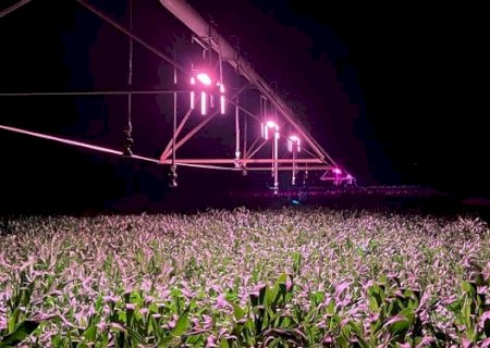 Produtor produz até 30% mais milho com Pivô de Luz