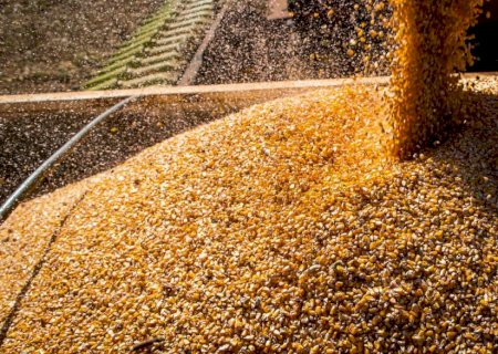 Produção de grãos deve chegar a 312,4 milhões de toneladas em 2023