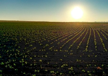 As propostas da agropecuária para a COP-27