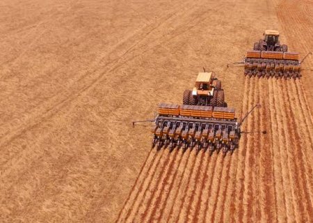 Semeadura de soja ultrapassa 300 mil hectares em MS