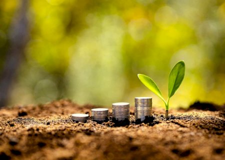 Levantamento analisa movimentação de recursos do Plano Safra 22/23 em MS