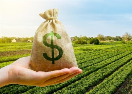 Quanto o agro representa no PIB brasileiro?