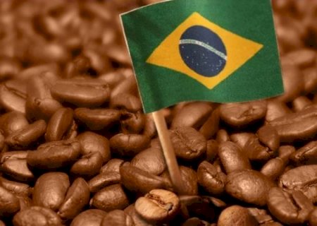 Exportação brasileira de café soma 3,4 milhões de sacas em setembro