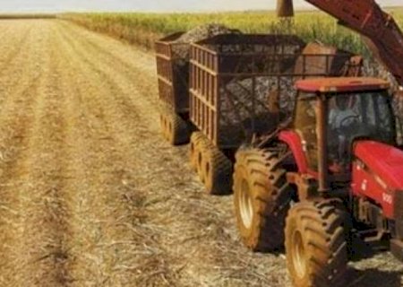 Brasil está mais preparado para futura janela de IPOs do agro