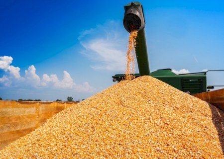 Demanda externa aquecida eleva cotação do milho no Brasil