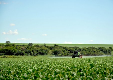 Estudo conclui que Brasil pode aumentar produção de soja em 36% até 2035