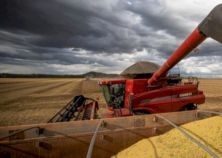 IBGE estima safra recorde de 261,9 milhões de toneladas em 2022