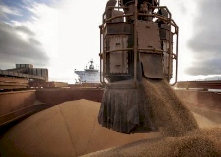 Exportações do agronegócio de Mato Grosso do Sul ultrapassaram US$ 6,5 bilhões