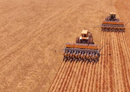 Soja: 2,5 milhões de hectares semeados em MS
