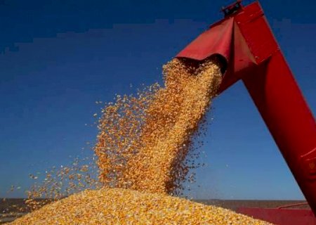 Produção rural de MS deve fechar 2022 em R$ 70,28 bilhões