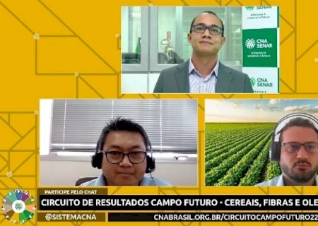 Seca impacta produtividade da soja e do milho na safra 2021/22