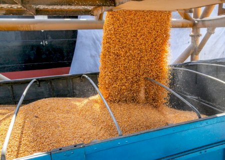 Exportação de grãos e farelo aumenta 102% no Porto de Paranaguá