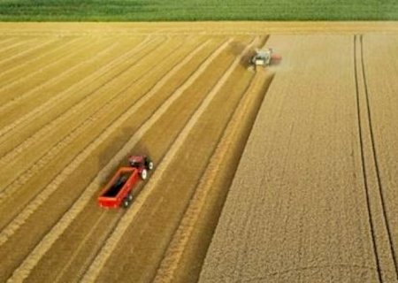 Valor Bruto da Produção agropecuária em 2023 deve crescer 3%, diz governo