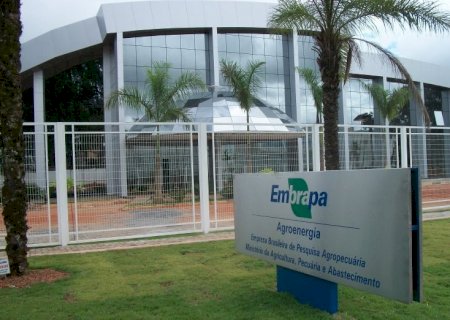 Futuro da sustentabilidade do agro é tema de seminário da Embrapa