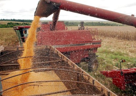 Exportações do agronegócio brasileiro batem novo recorde em outubro