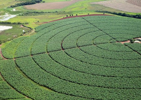 Índice de Confiança do Agronegócio tem melhor resultado trimestral
