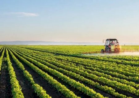 Produtores de milho 2ª safra do Brasil atrasam compra de fertilizantes, diz analista