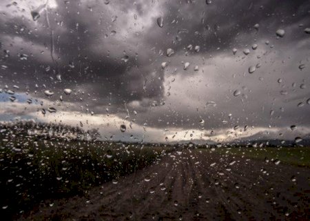 Soja: semana será de muita chuva no Centro-Oeste e Sudeste