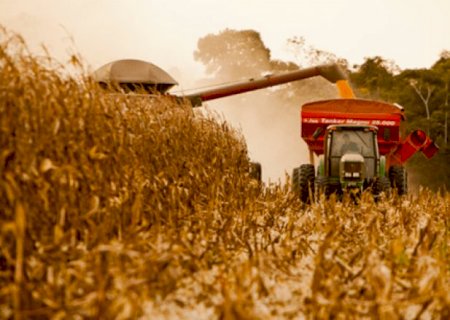 Crédito rural em Mato Grosso do Sul movimentou R$ 1,2 bilhões em outubro