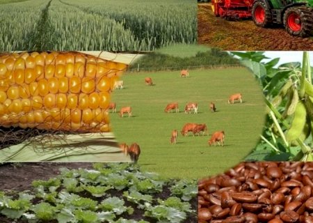 “Taxa do agro” é proposta por governo goiano