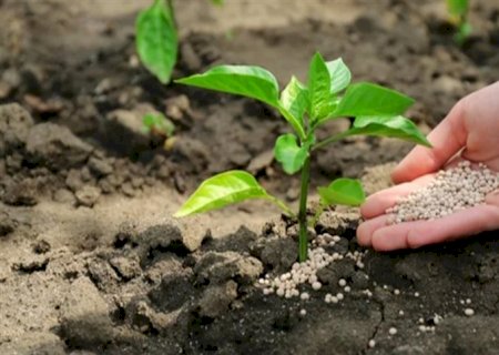 Preço médio de fertilizantes tem aumento de 123% em MS