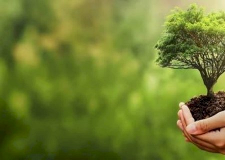 Transição sugere compromisso com sustentabilidade para a Agricultura