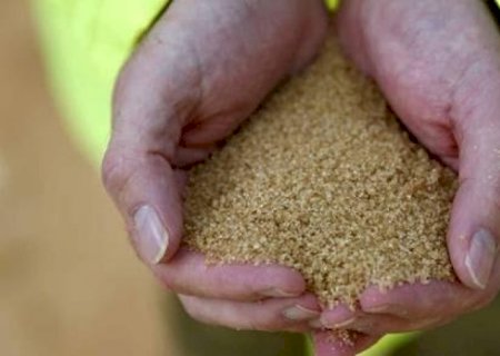 Produção de açúcar da Índia deve cair 7% e exportações podem ser reduzidas